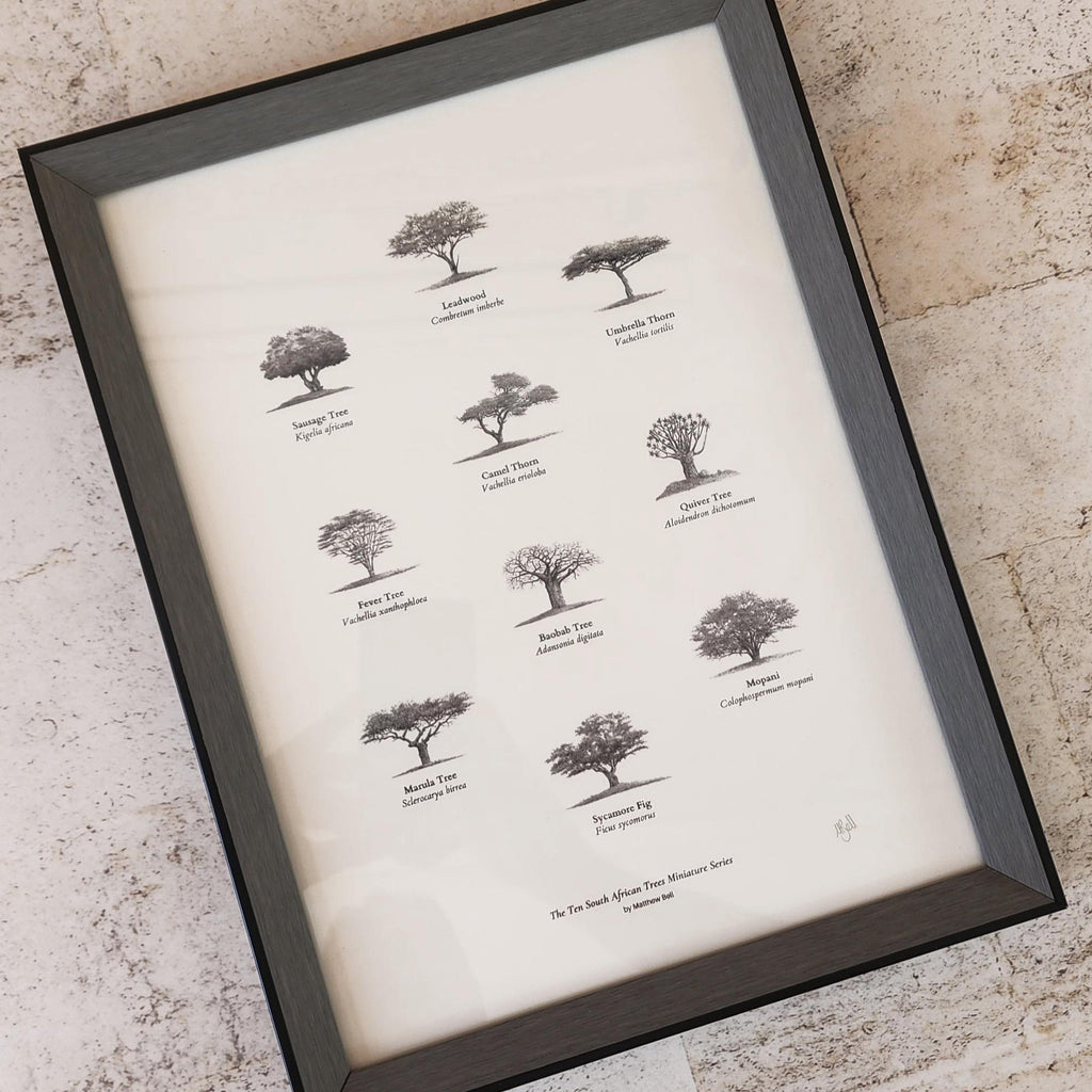 Ten South African trees fine art poster with a frame by artist Matthew Bell