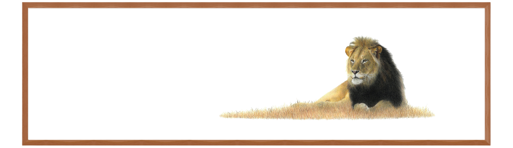 Untitled-1-06.png