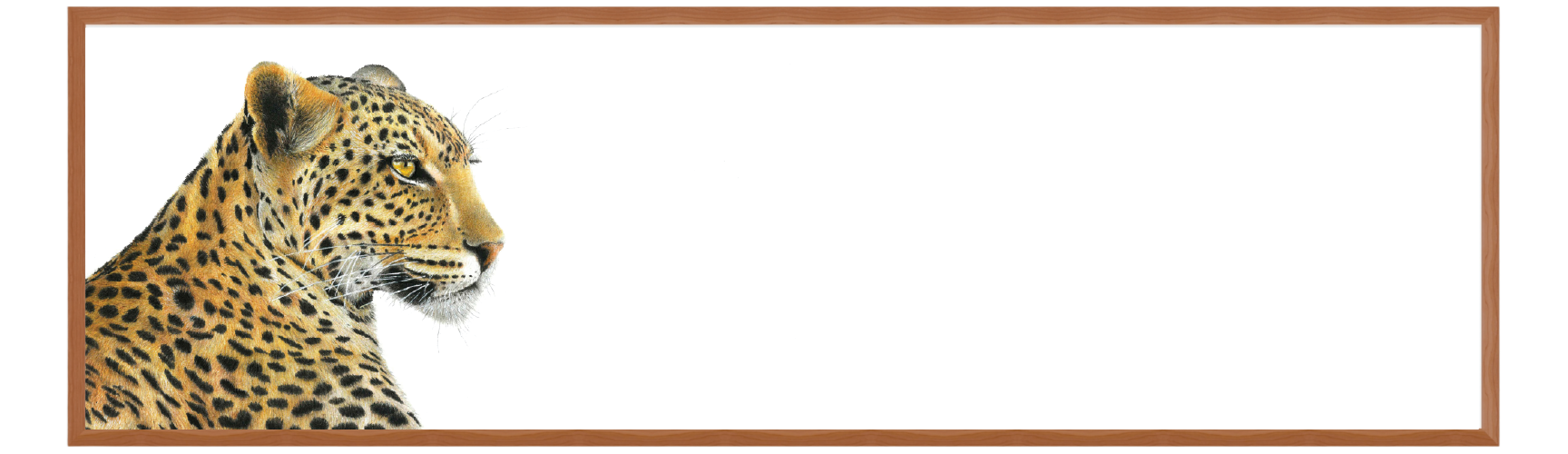 Untitled-1-07.png