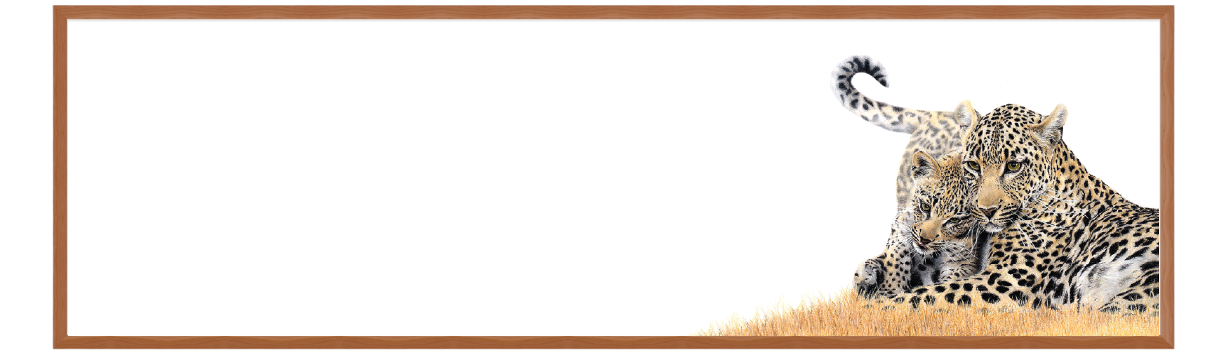 Untitled-1-08.png