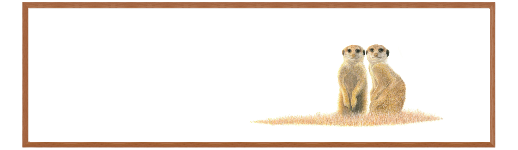 Meerkat Pair Panorama