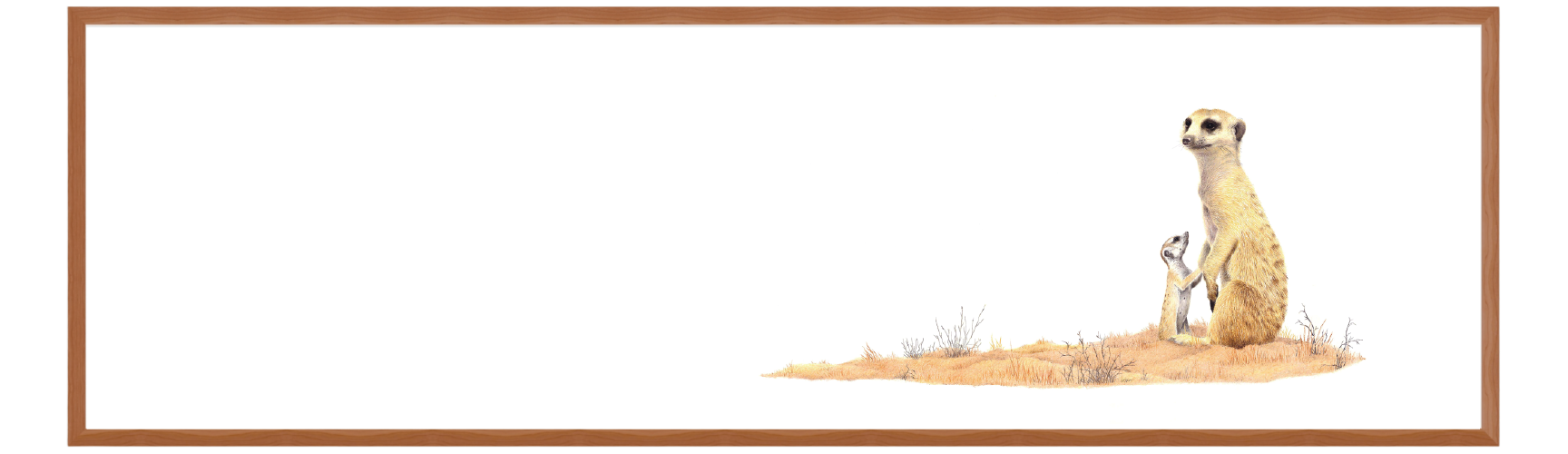 Untitled-1-11.png