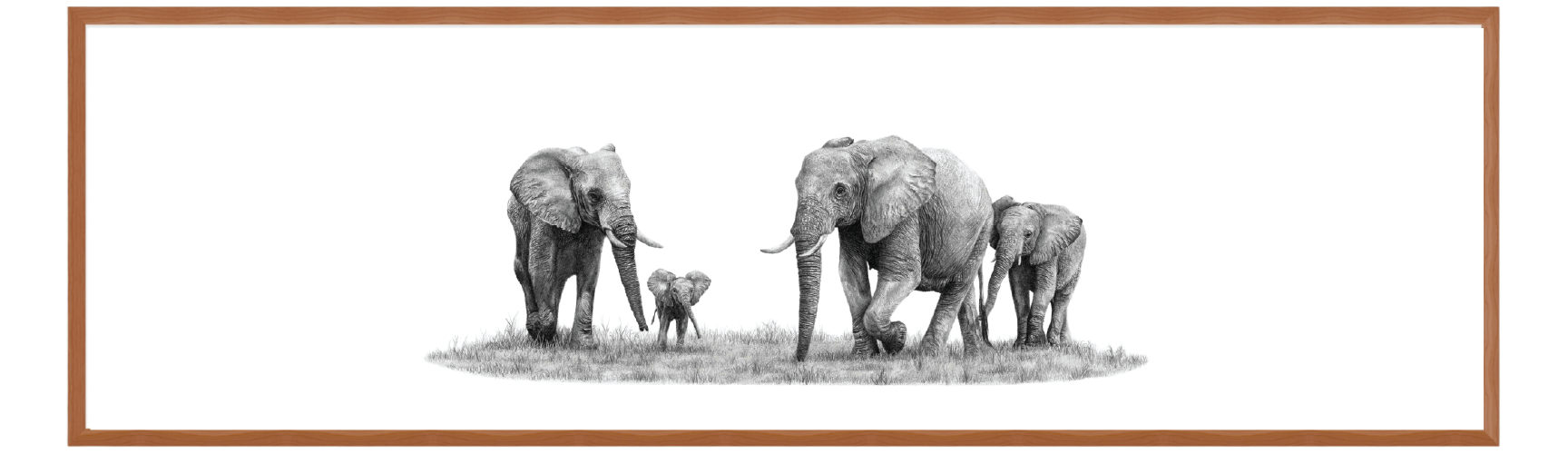 Elephant Family Panorama