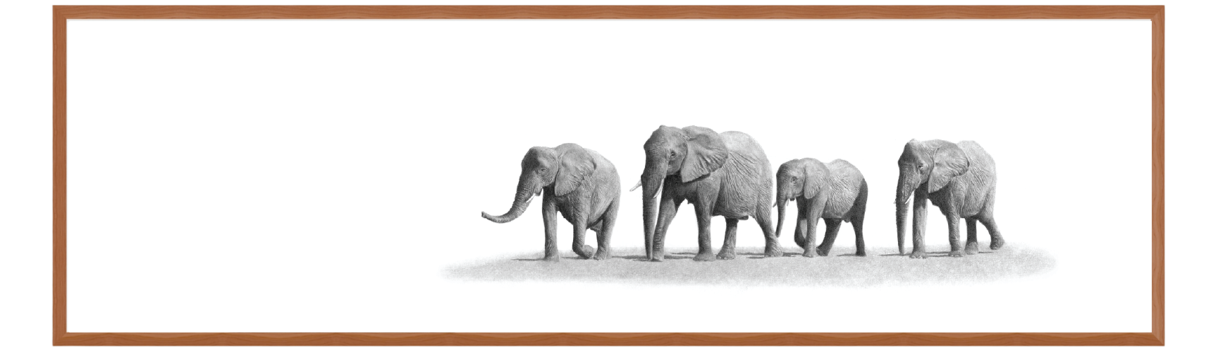 Elephant Family Panorama