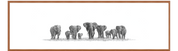 Elephant Herd Panorama