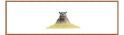 Hippo Panorama