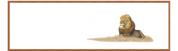 Male Lion Panorama