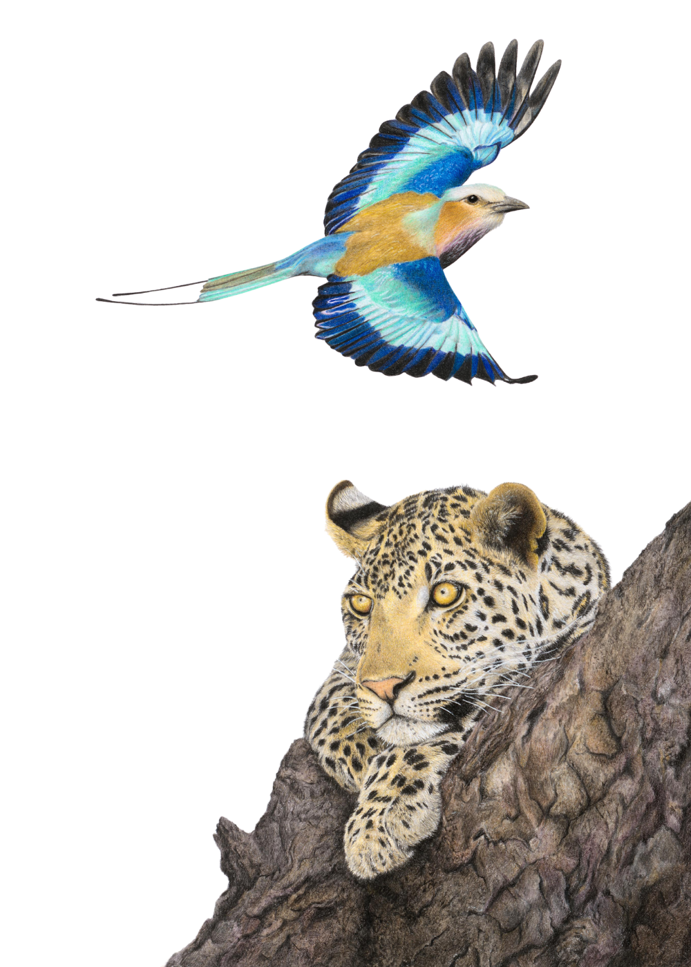 Untitled_design-39.png