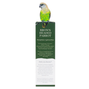 Brown Headed Parrot Wooden Bookmark
