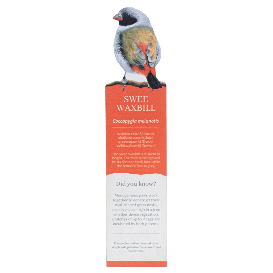 Untitled_design_-_2025-08-11T135229.676.png