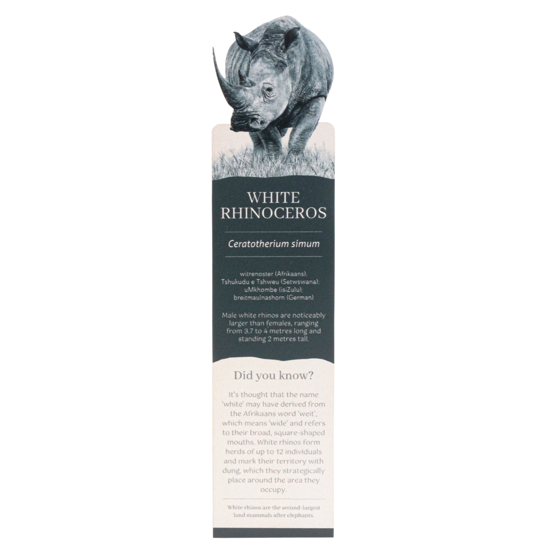 Untitled_design_-_2025-08-11T151848.823.png