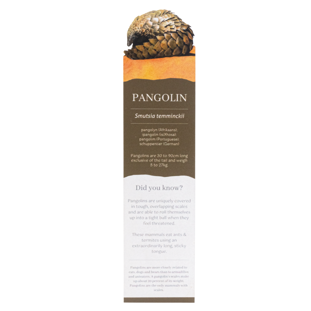 Untitled_design_-_2025-08-11T151941.232.png