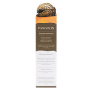Pangolin Wooden Bookmark