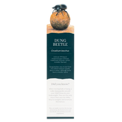 Dung Beetle Wooden Bookmark