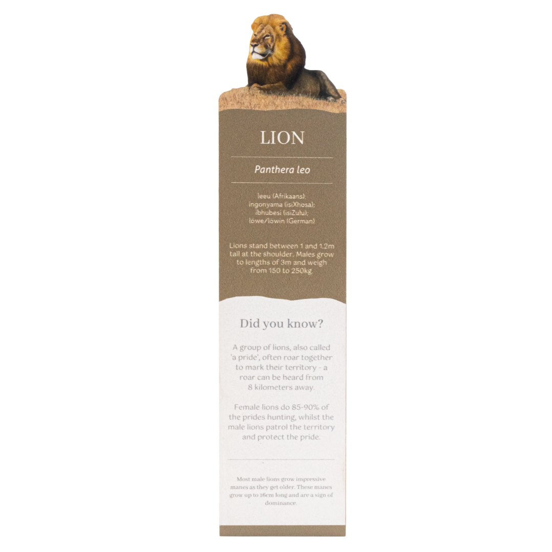 Untitled_design_-_2025-08-11T152049.535.png