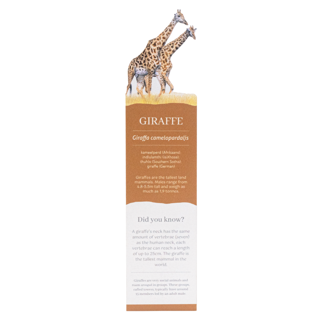 Untitled_design_-_2025-08-11T152101.275.png