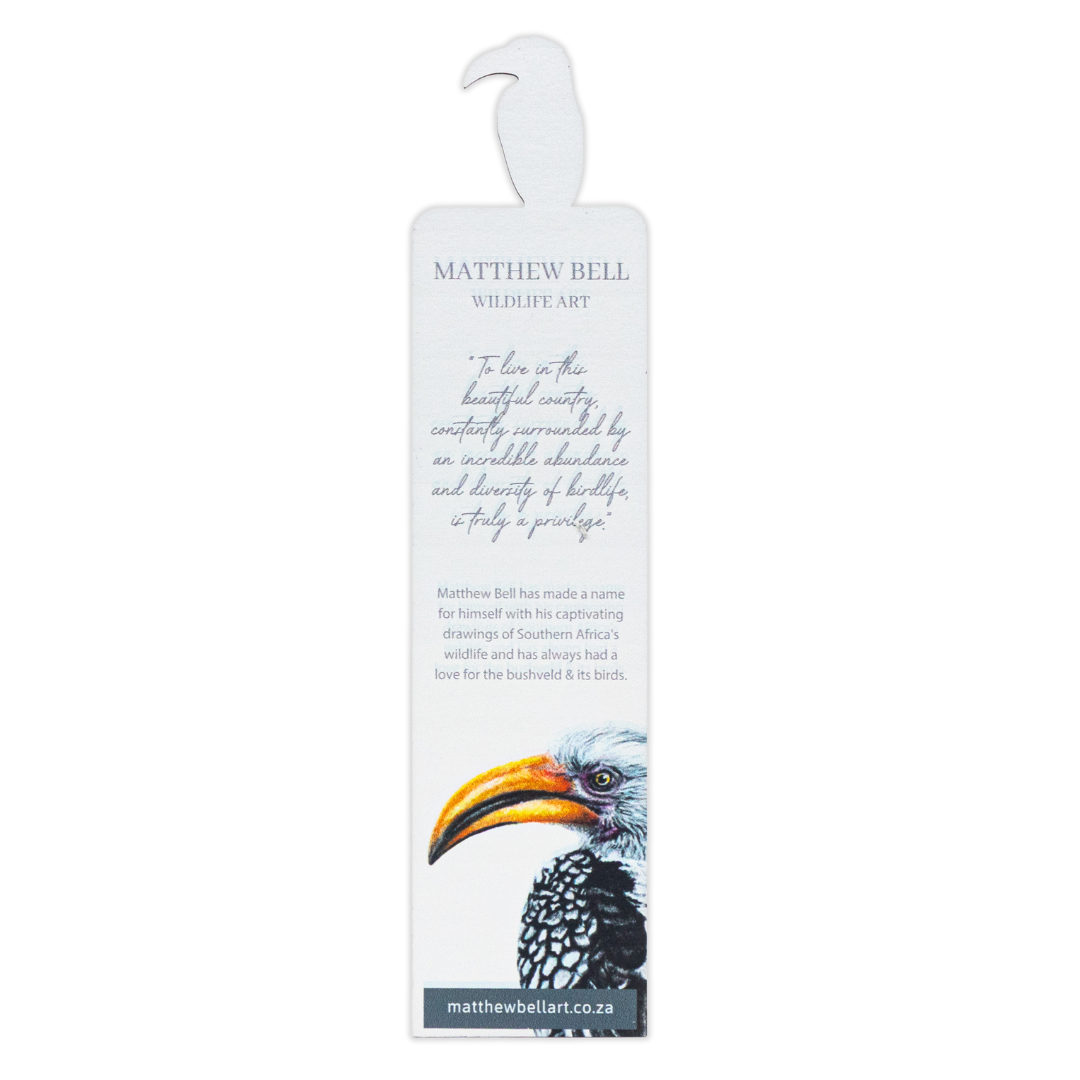 Untitled_design_-_2025-08-14T112831.794.png