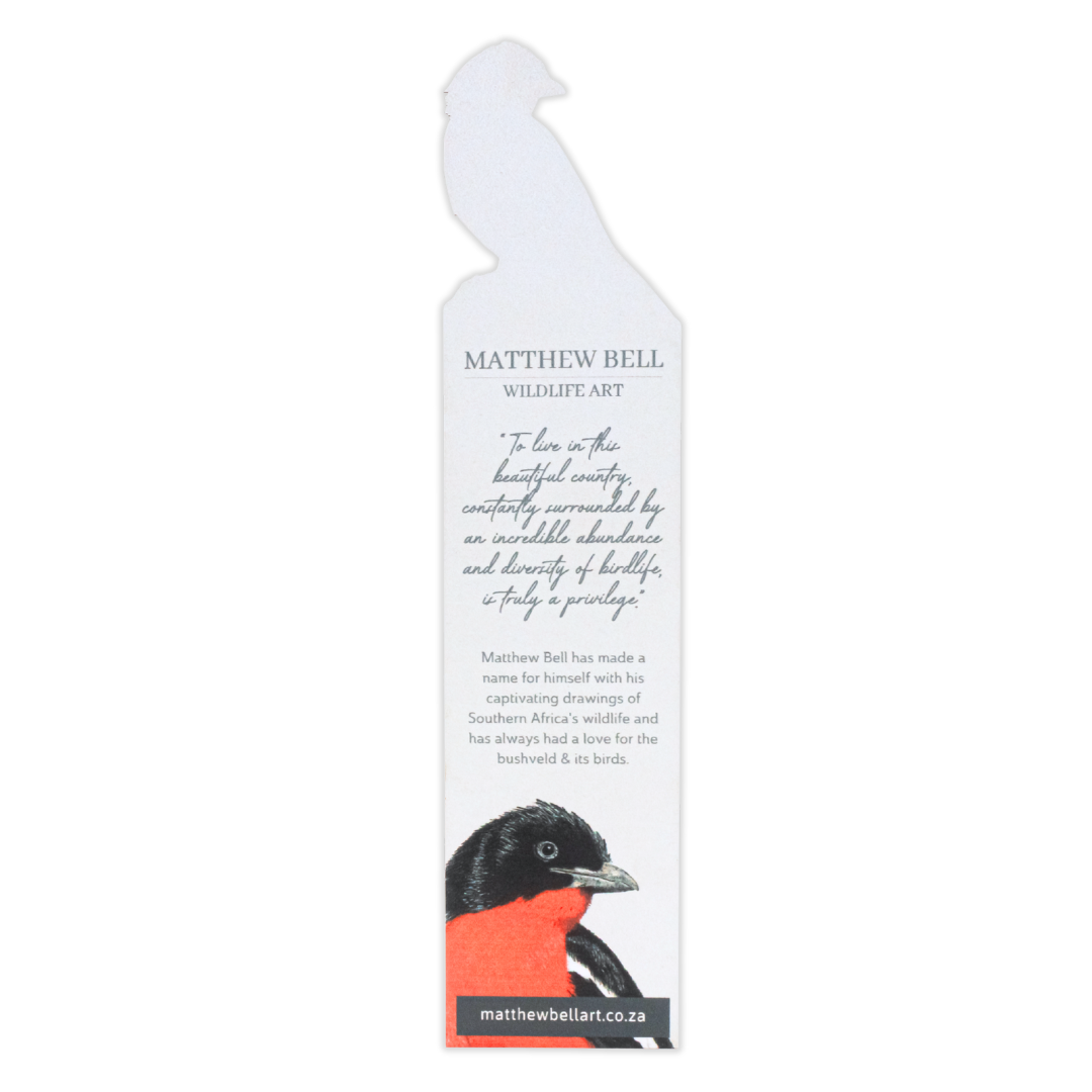 Untitled_design_-_2025-08-14T113121.387.png
