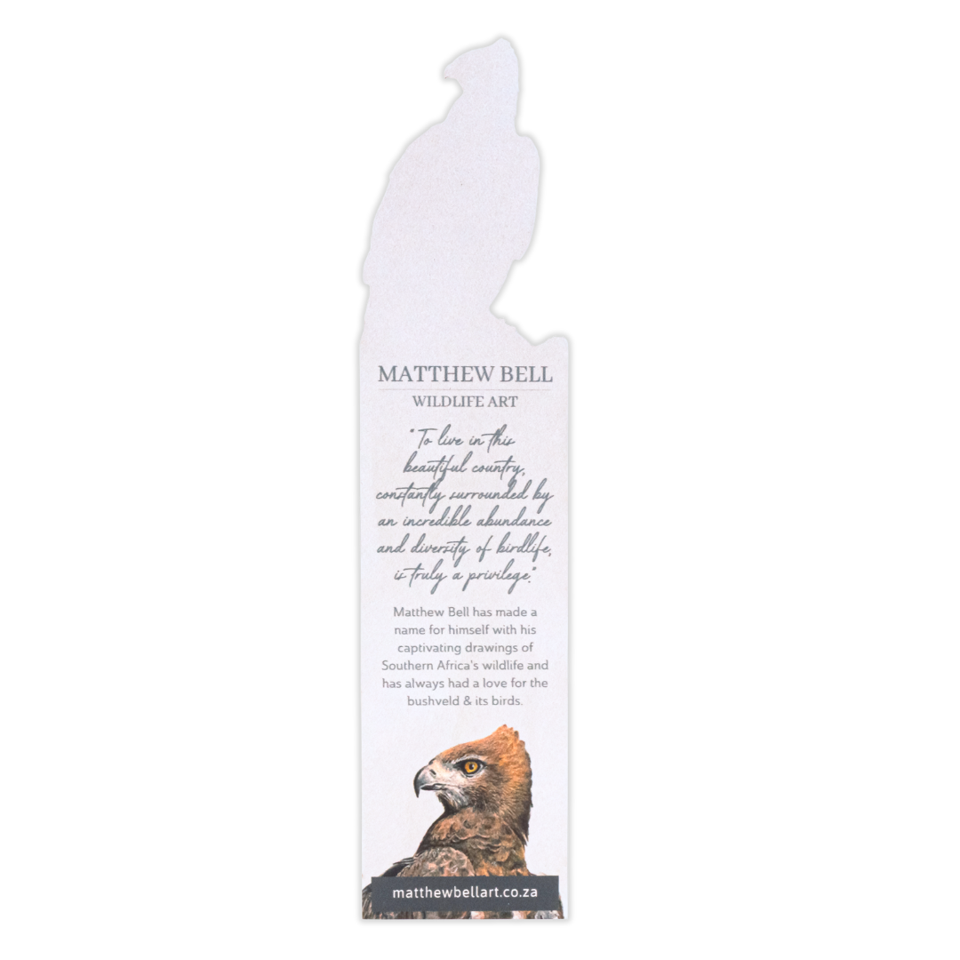Untitled_design_-_2025-08-14T122140.151.png