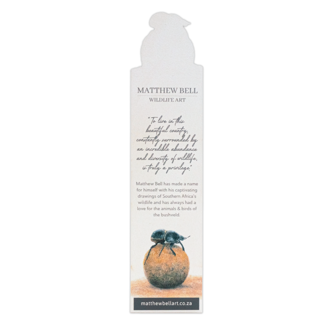 Untitled_design_-_2025-08-14T134930.611.png