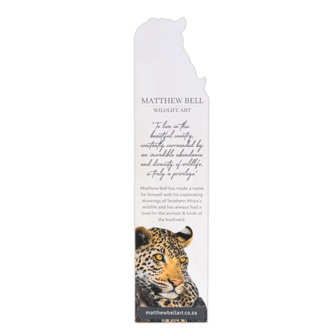 Untitled_design_-_2025-08-14T135020.456.png