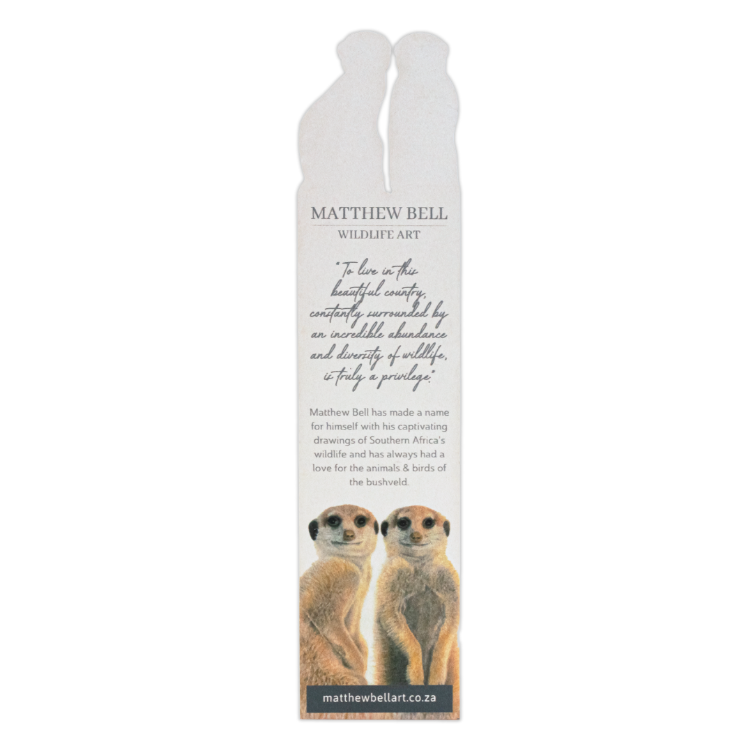 Untitled_design_-_2025-08-14T135031.191.png