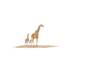 Giraffe Mother and Baby - The Original