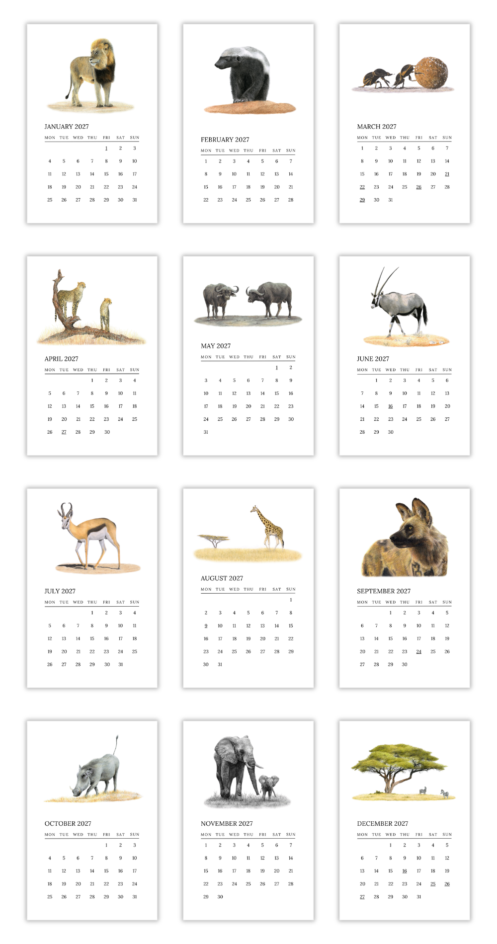 2027 South African Wildlife Desk Calendar