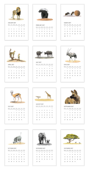 2027 South African Wildlife Desk Calendar