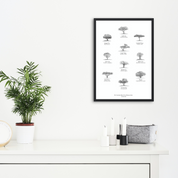 Trees of south Africa poster art print 