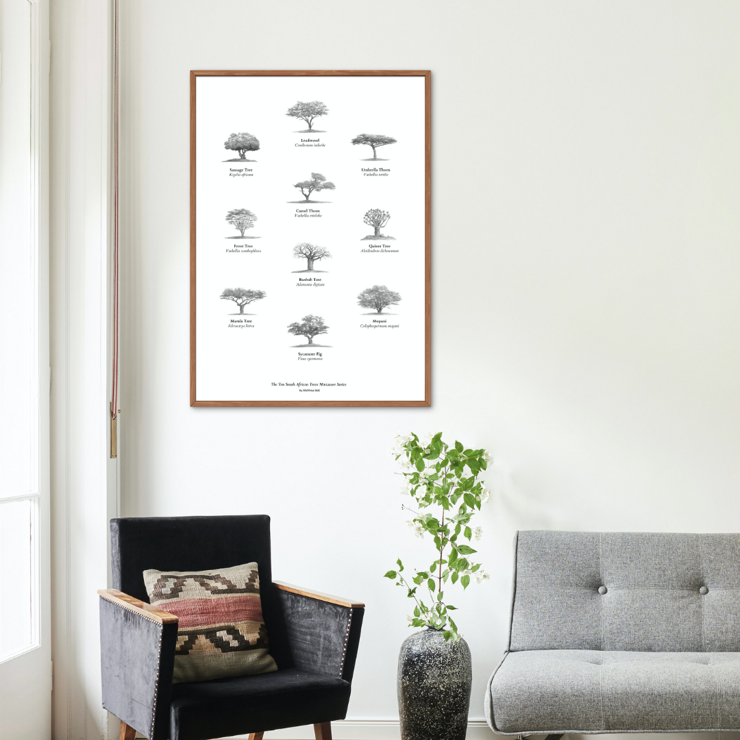 Trees of south Africa poster art print 