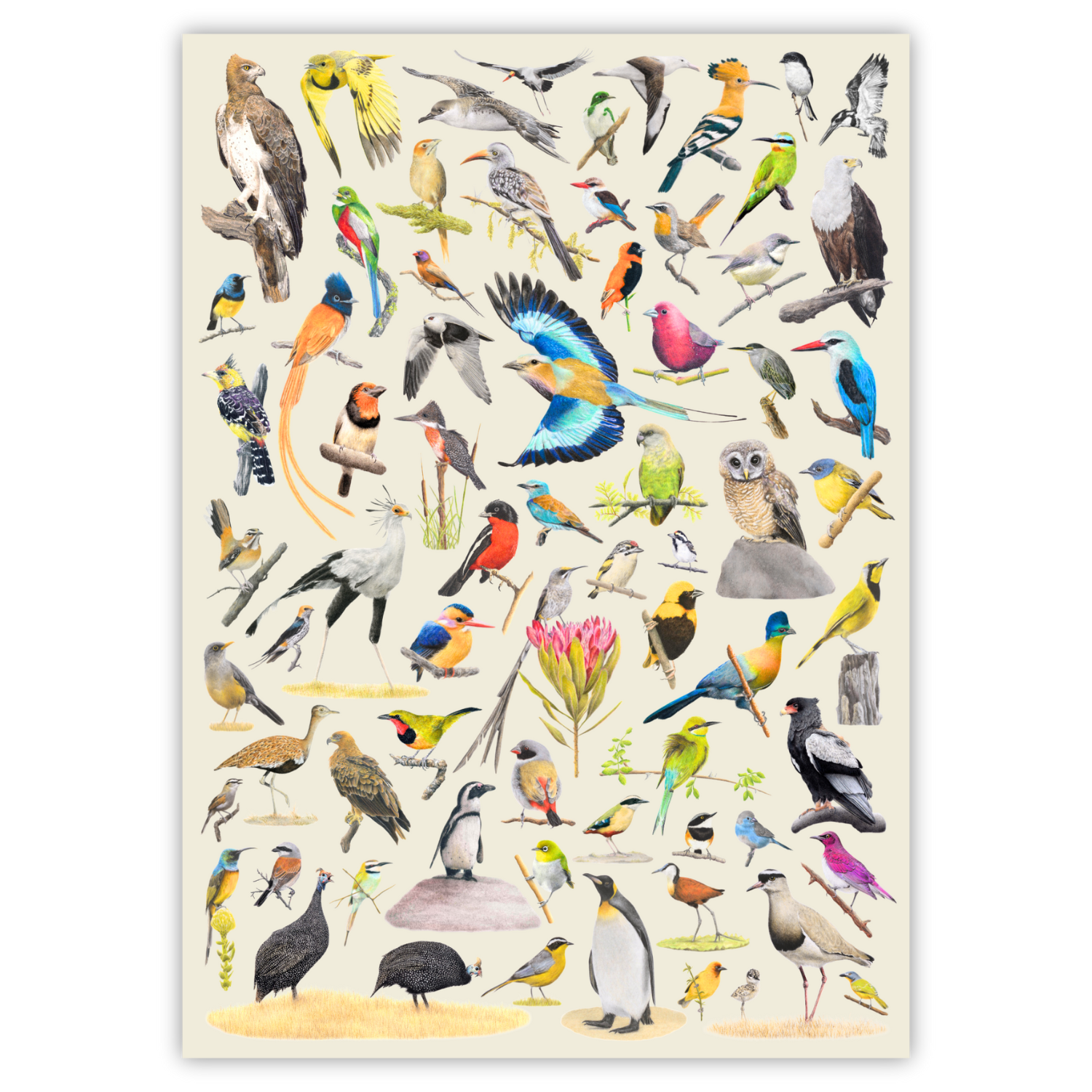Birds of South Africa Wooden Puzzle