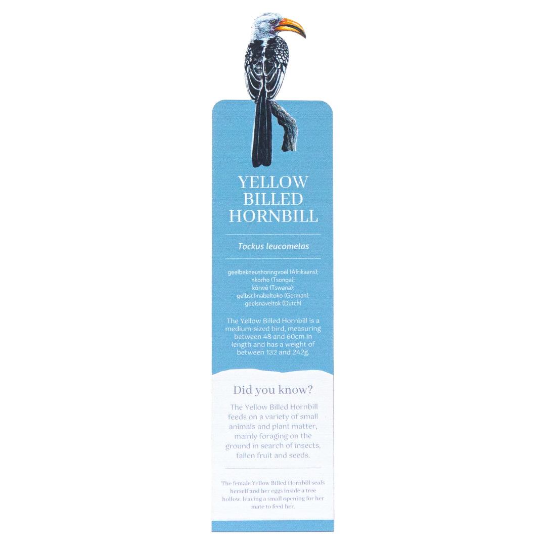 Untitleddesign-2025-08-11T133518.038.png