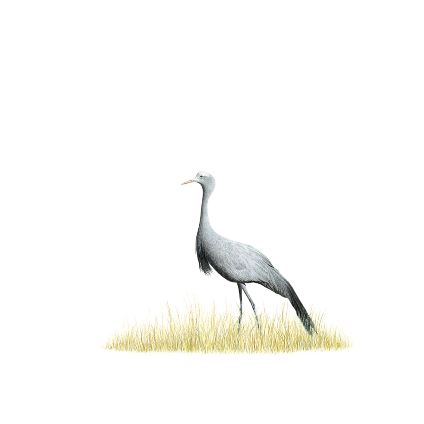 Untitleddesign-64.png