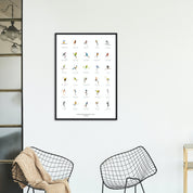 A collection of birds from South Africa fine art poster print