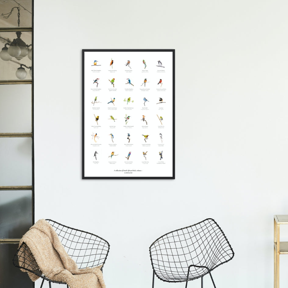 A collection of birds from South Africa fine art poster print