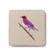 Violet Backed Starling Bird leather coaster by South African wildlife artist Matthew Bell