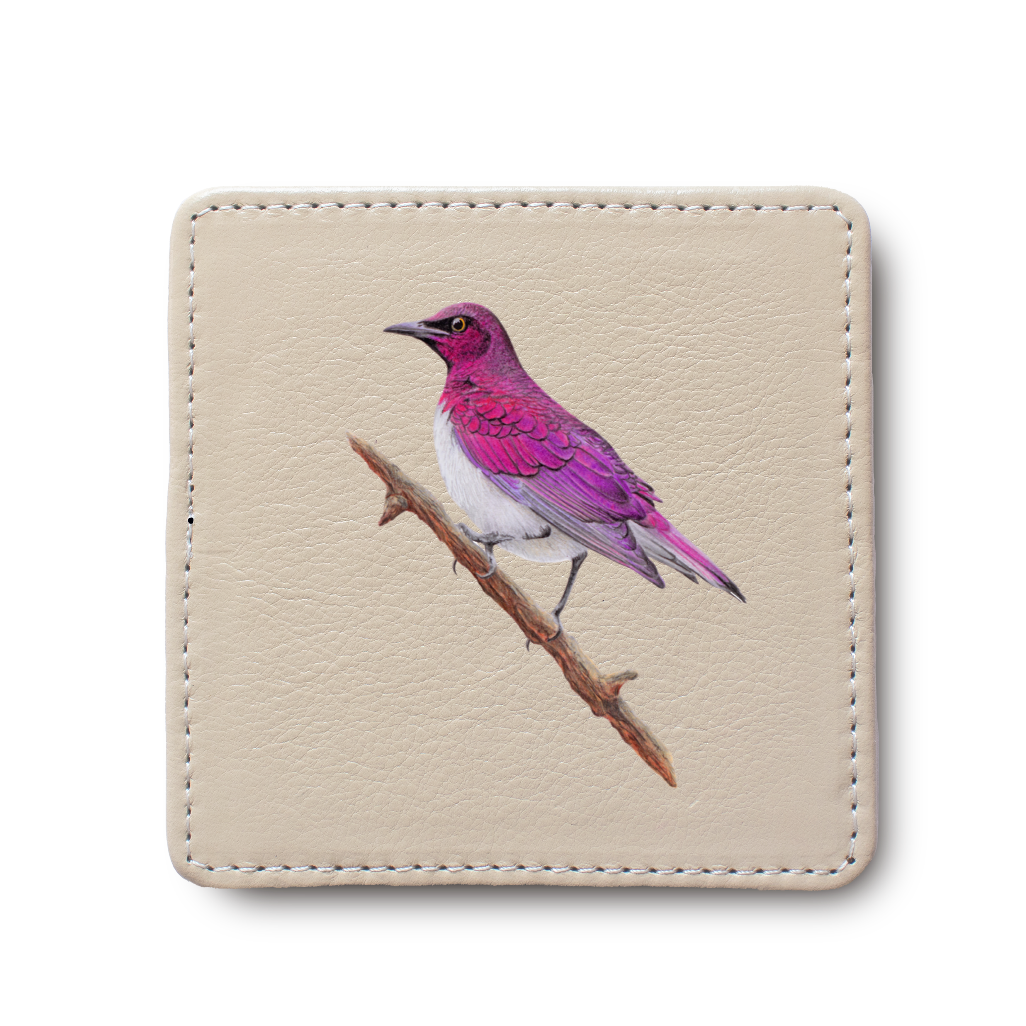 Violet Backed Starling Bird leather coaster by South African wildlife artist Matthew Bell