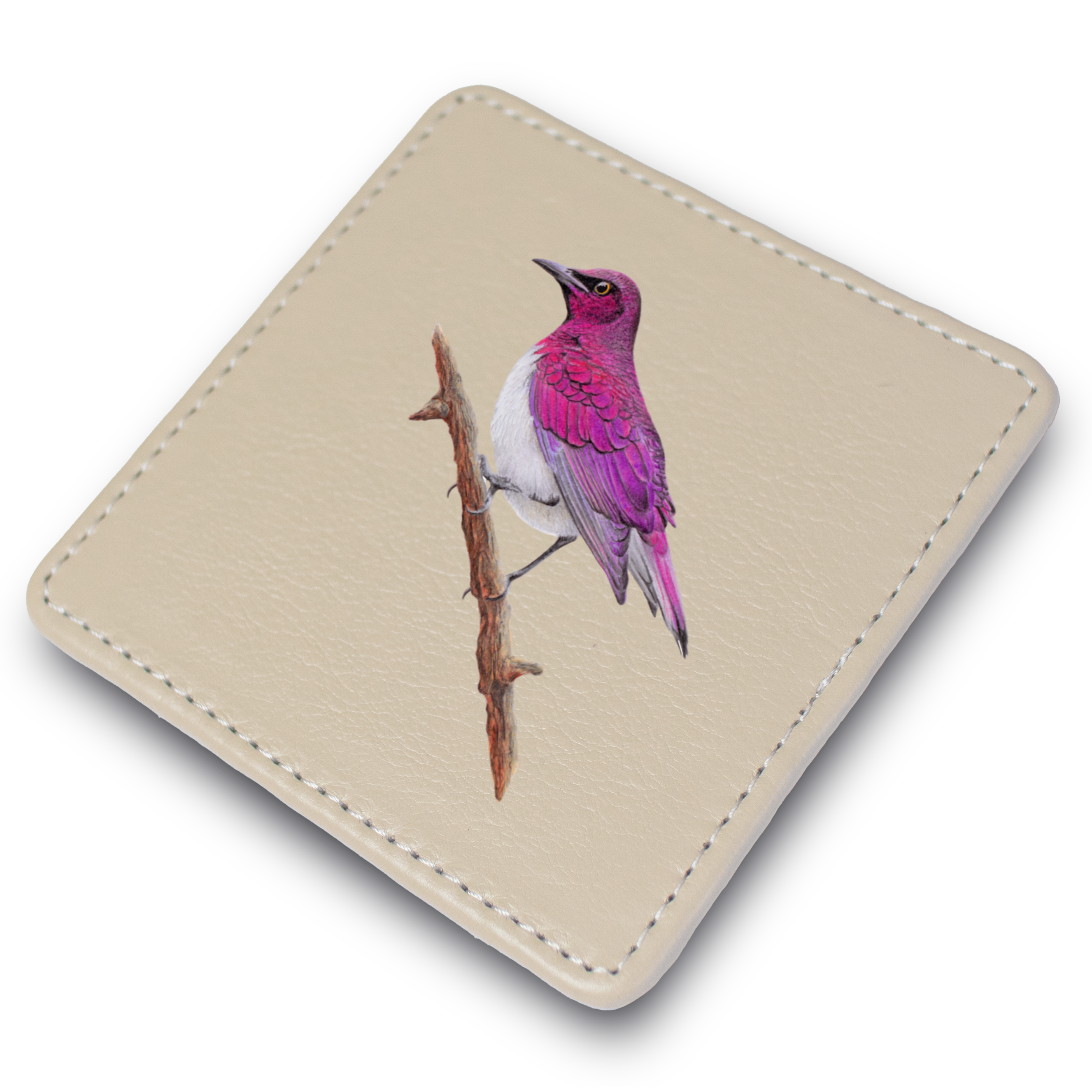 Violet Backed Starling Leather Coaster