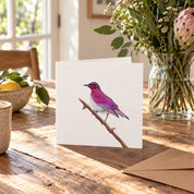 Violet Backed Starling Greeting Card - VBST