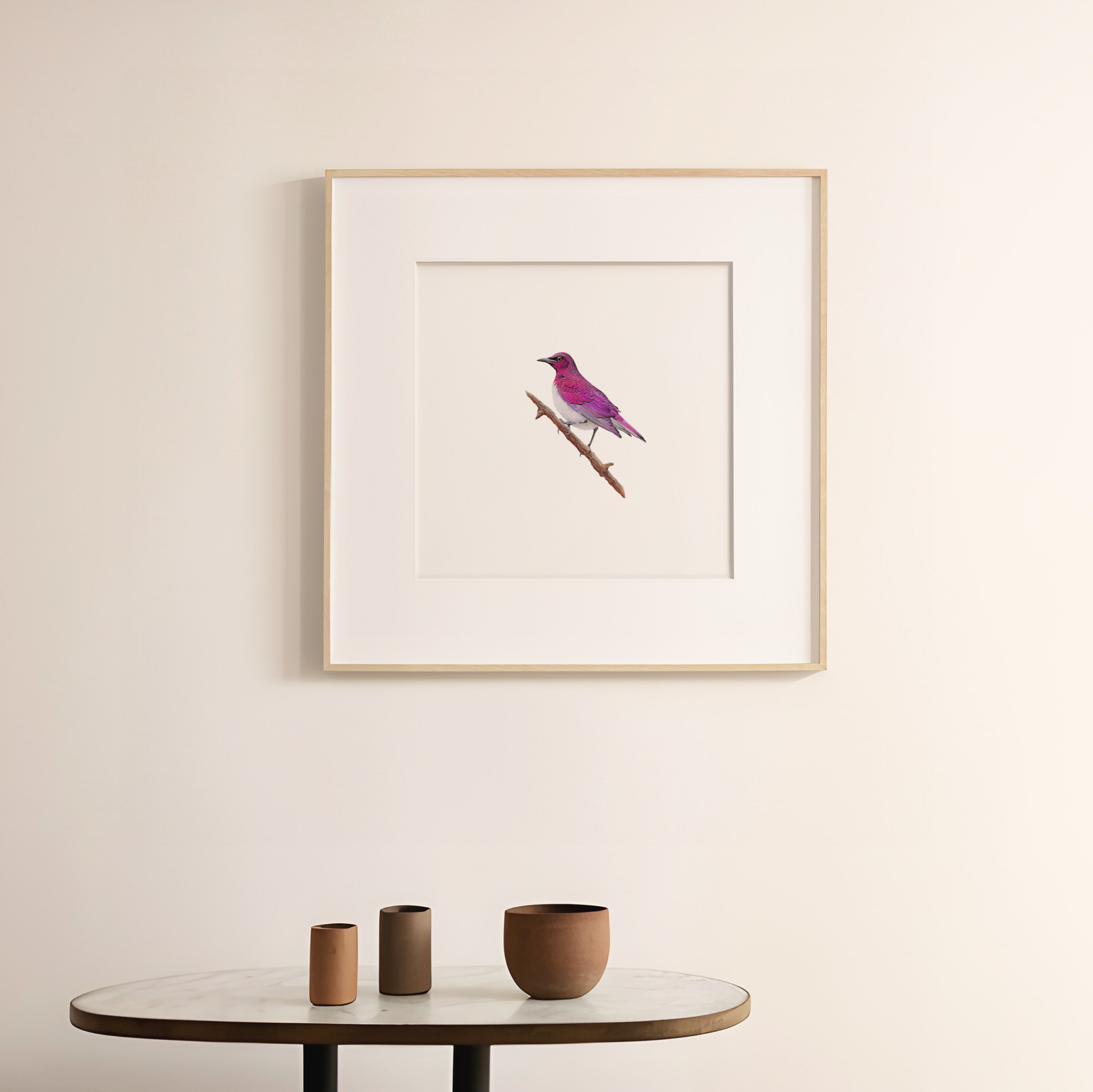 Violet Backed Starling - The Original