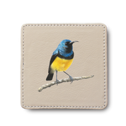 Variable Sunbird Bird leather coaster by South African wildlife artist Matthew Bell