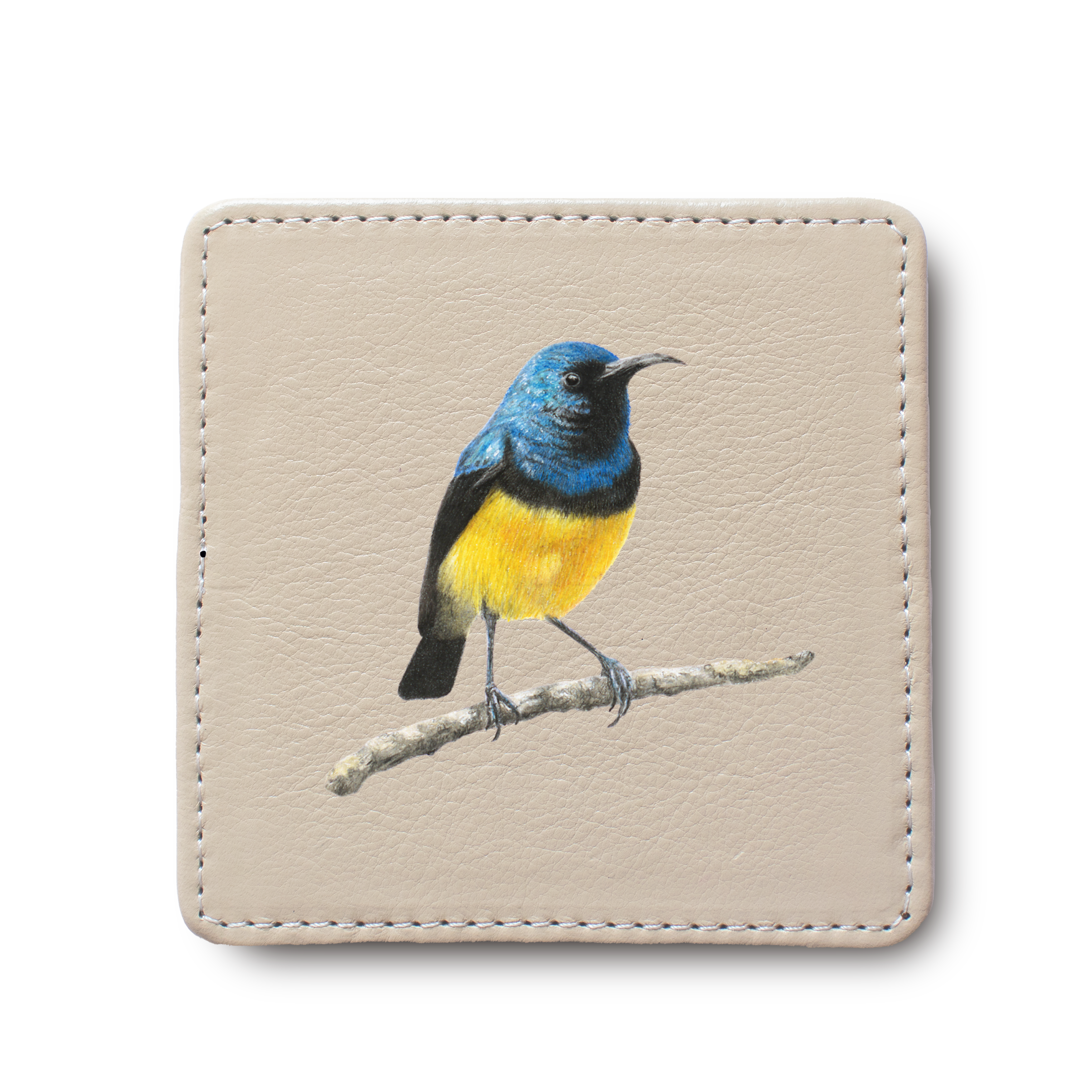 Variable Sunbird Bird leather coaster by South African wildlife artist Matthew Bell