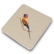 Violet Eared Waxbill Leather Coaster
