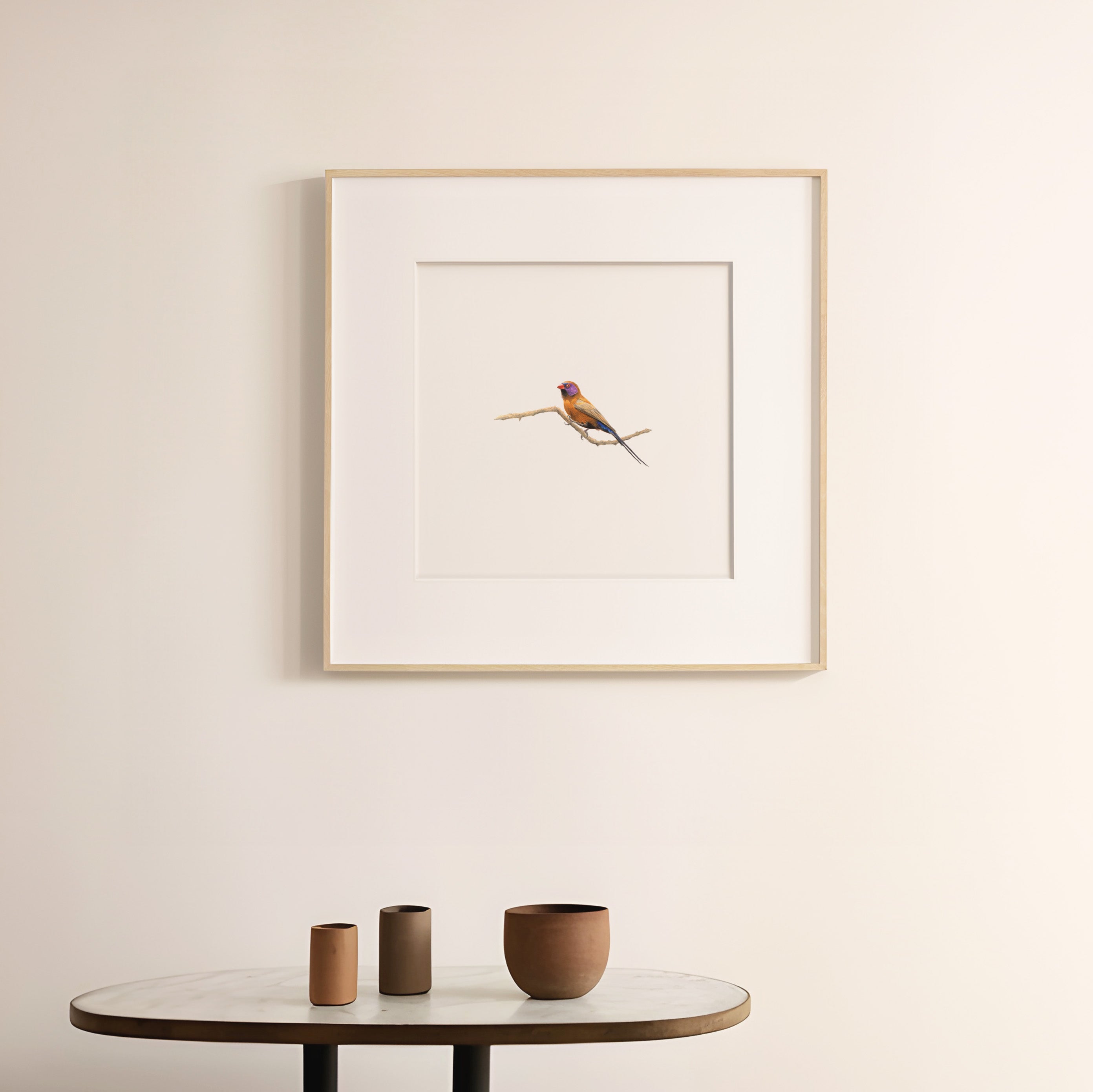 Violet Eared Waxbill - The Original