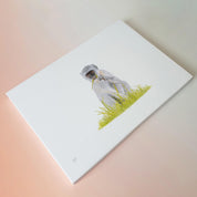 Vervet monkey African wildlife art canvas