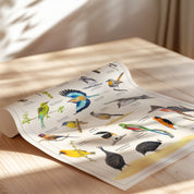 Birds of South Africa Series - Volume 1