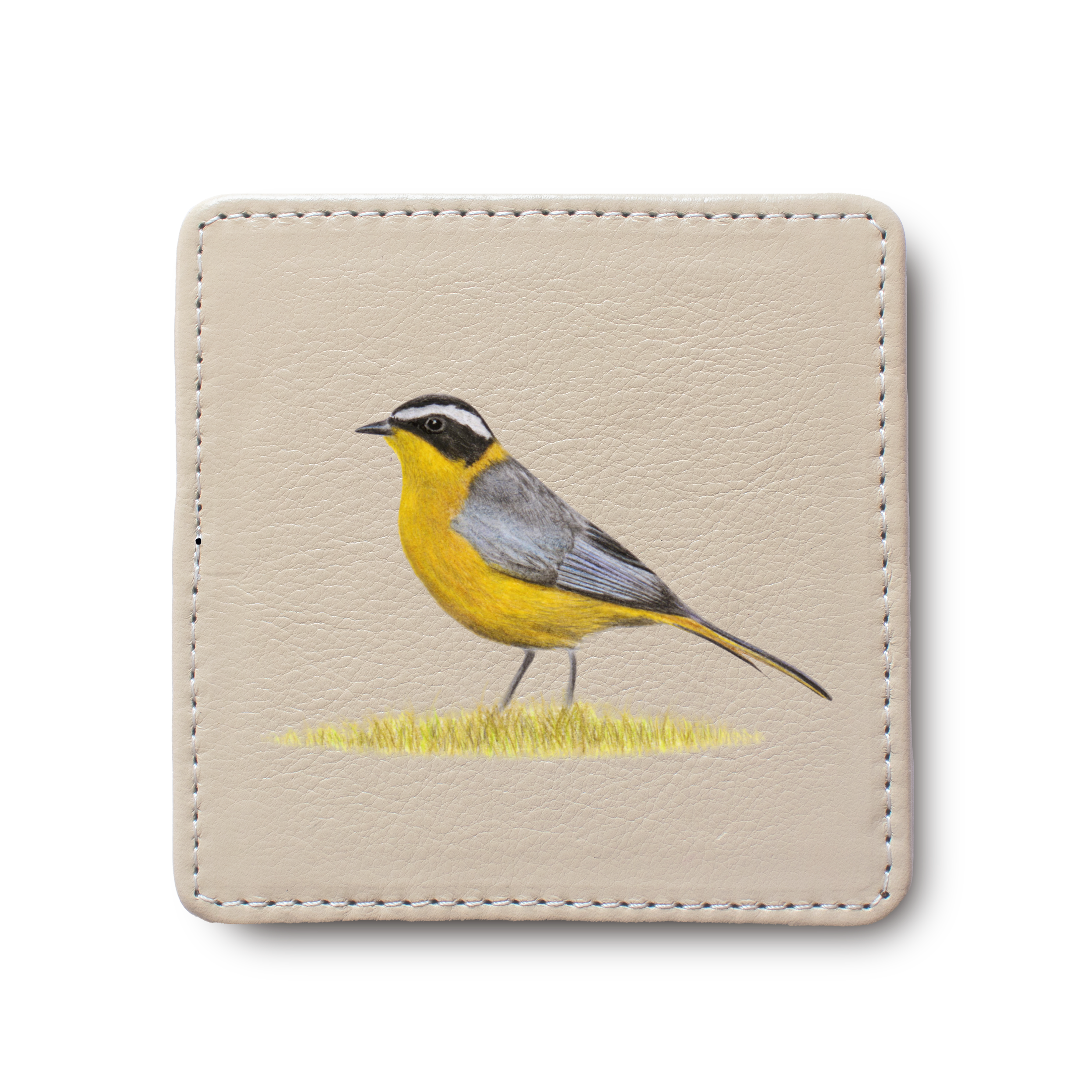 White Browed Robin Chat Bird leather coaster by South African wildlife artist Matthew Bell