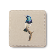 White Bellied Sunbird Bird leather coaster by South African wildlife artist Matthew Bell