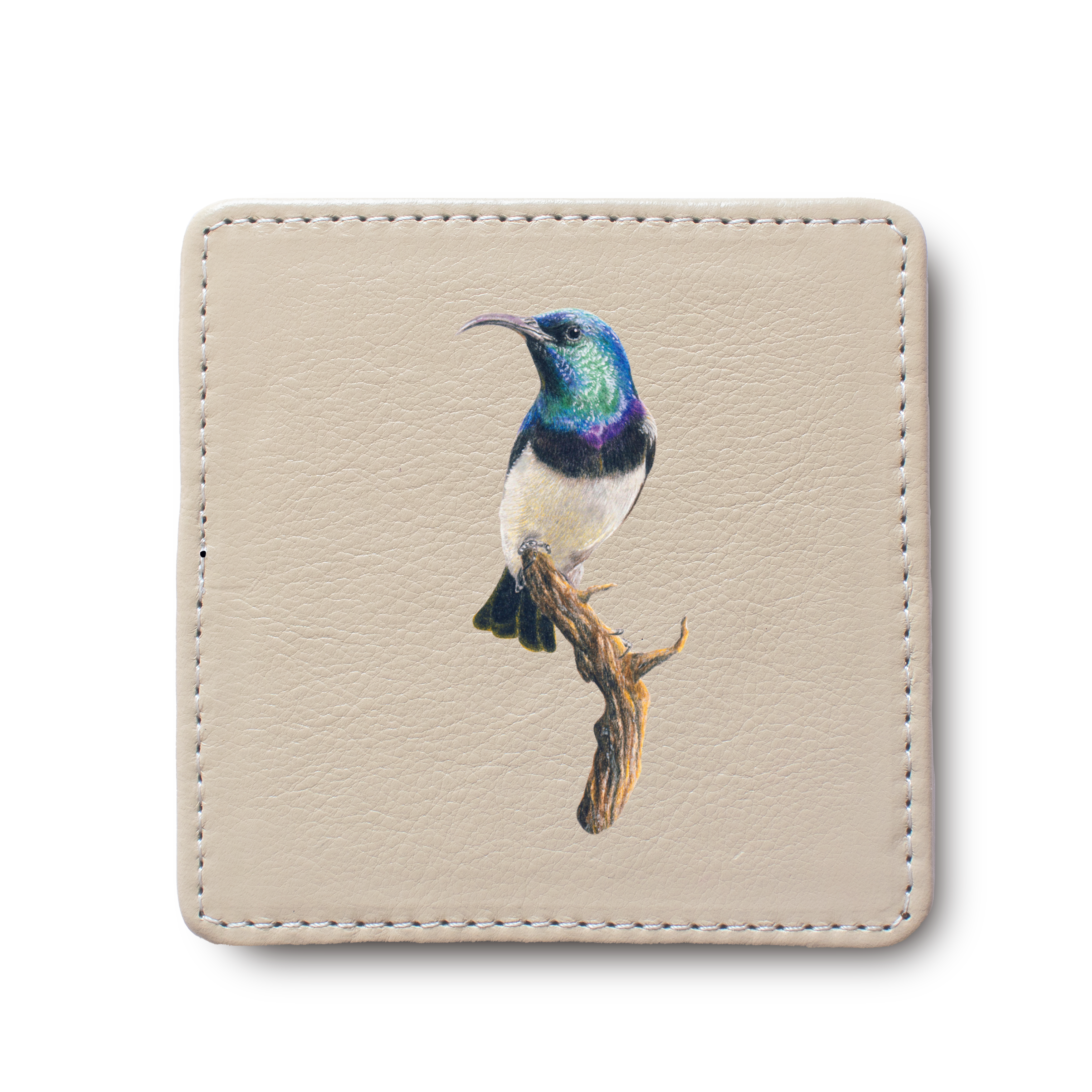 White Bellied Sunbird Bird leather coaster by South African wildlife artist Matthew Bell